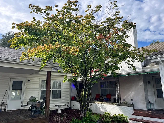 813 Apperson Dr — Photo 1