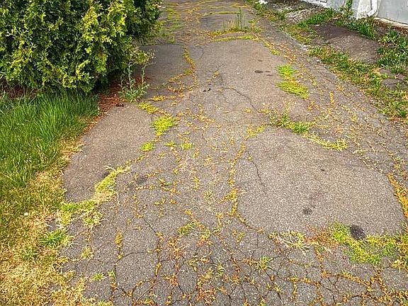 3rd image of 52 Caroline Ave