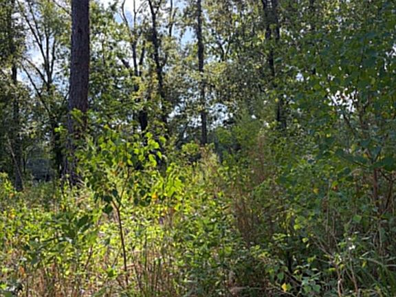 2nd image of R 1 155685 Miles Rd