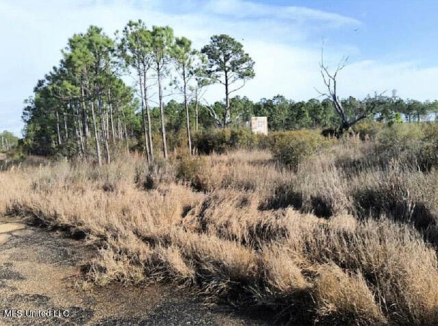 1st image of Grand Plains Bayou Dr