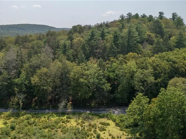 Pond Gut Road, Pleasant Valley, NY 12569