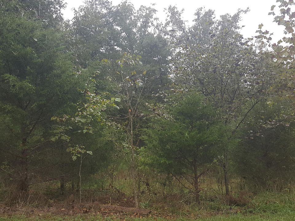 1st image of Shore Acres Dr