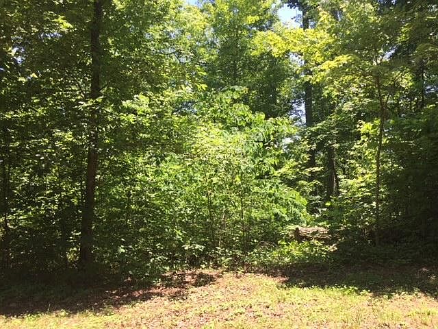 1st image of Crooked Creek Way