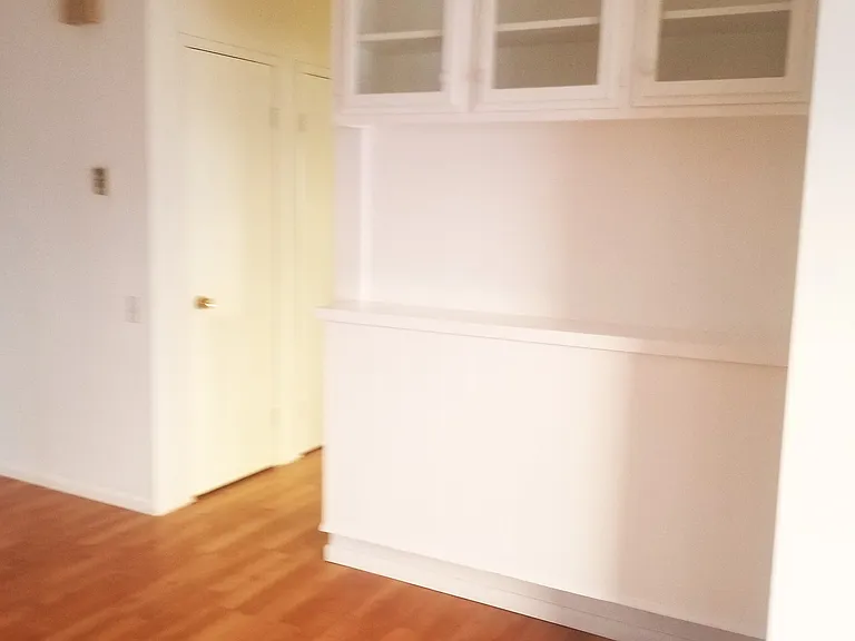 2311 Carnegie Ln #3 — Photo 9