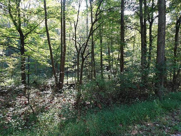 3rd image of 0 County Road 150 S