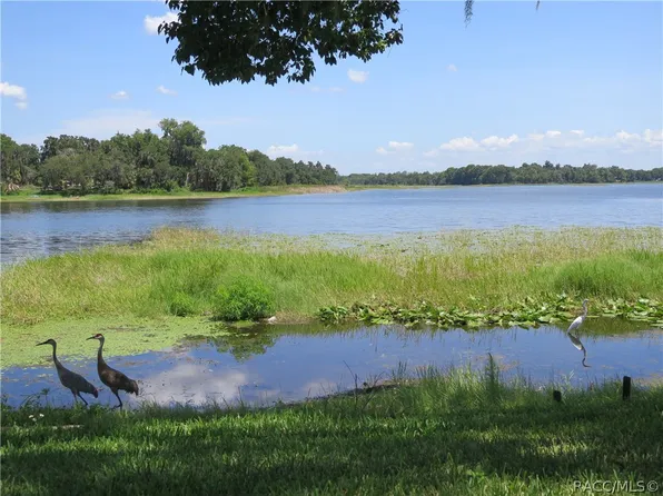 4014 E Lake Park Dr, Hernando, FL 34442