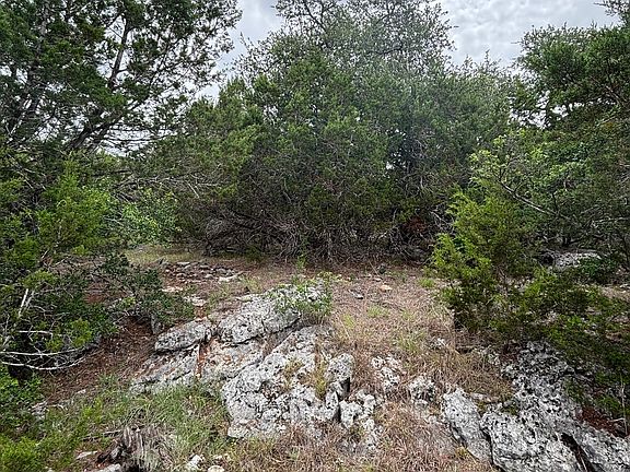 3rd image of 1328 POWDER RIDGE RD LOT 2234