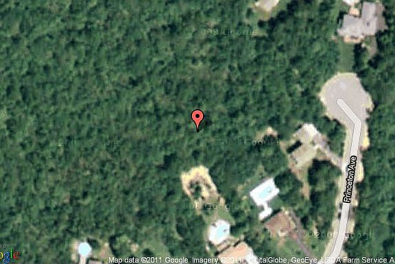 Map View