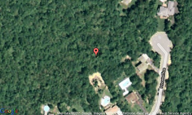Map View