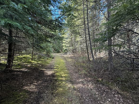 5th image of N/a Wapiti Point Rd