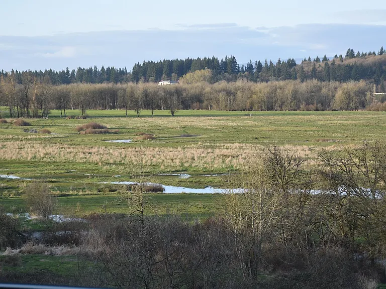 Lacamas Creek view