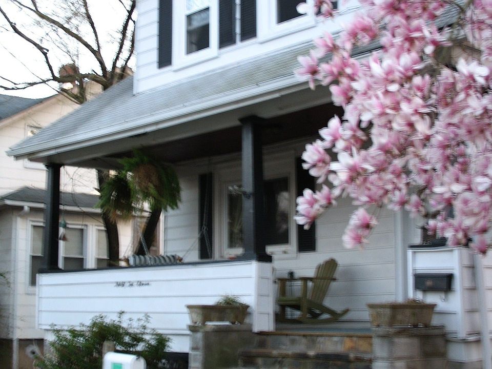 Spring Shot