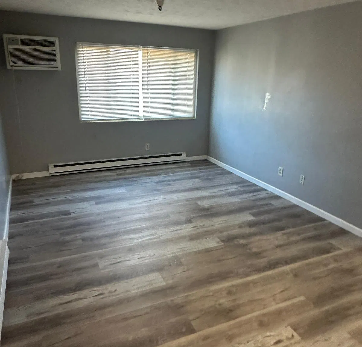 1 bed, 600 sqft, $875 — Photo 4