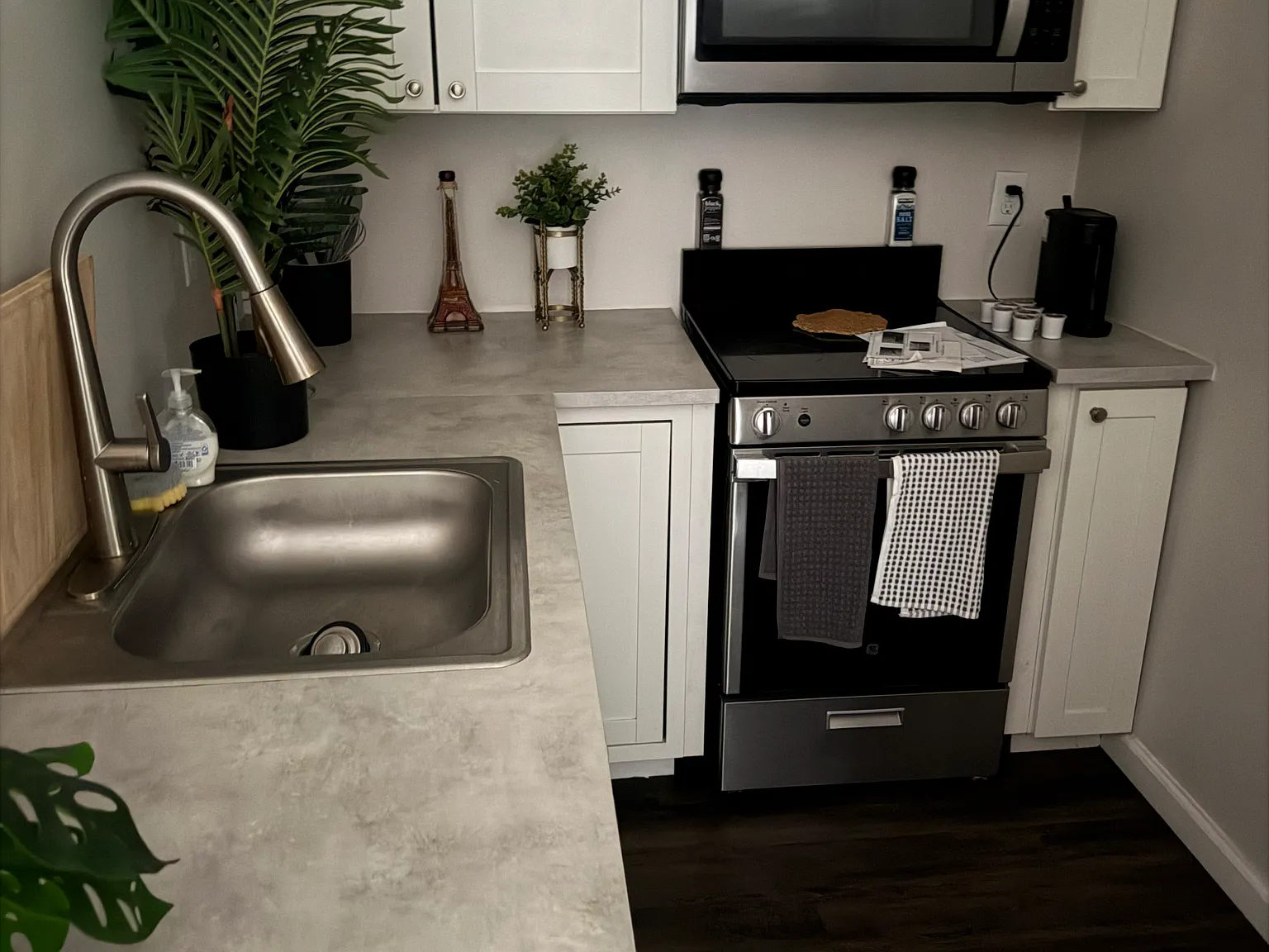 1 bed, 700 sqft, $1,100 — Photo 3