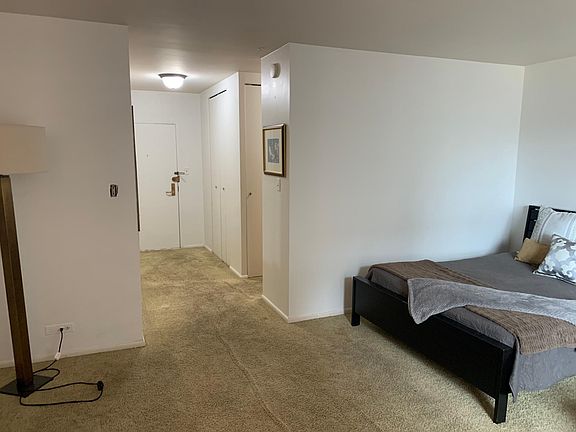 4th image of 777 N Michigan Ave APT 3206