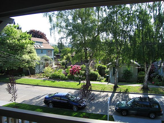 view from front porch out to 21st ave