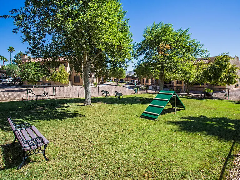 Pet-Friendly Community