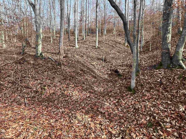 Mud Lick Rd, Walkersville, WV 26447