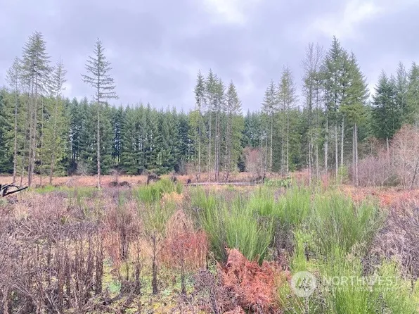 1890 State Route 603, Napavine, WA 98565
