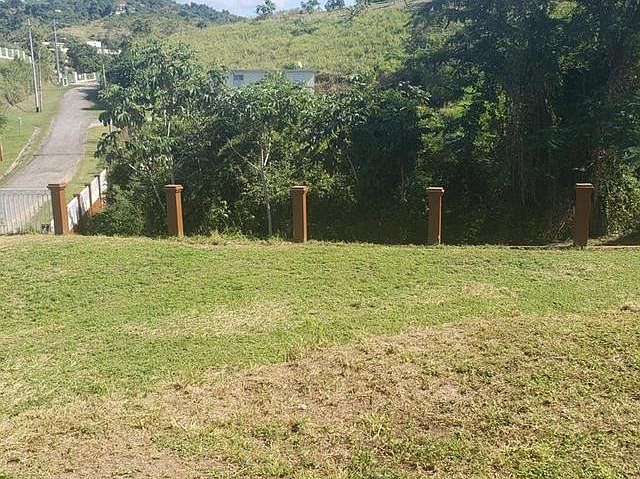 2nd image of Km 10.0 Sector Palma Sola Bo Coanilla