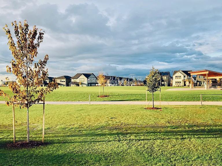 Reeds Crossing Park