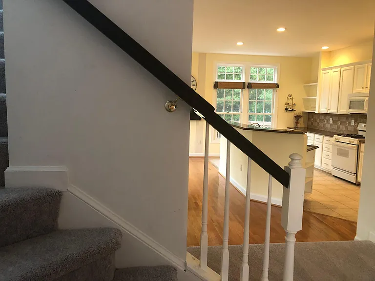 6248 Levi Ct — Photo 54