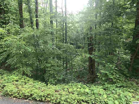 3rd image of 1 Buena Vista Dr Lot 1