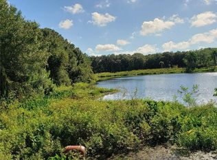 15209 Rails Rd, Odessa, FL 33556