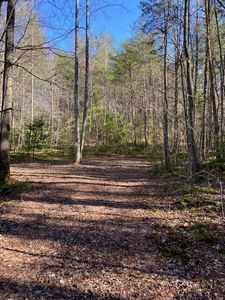 137 Rocky Ford Rd, Turtletown, TN, 37391