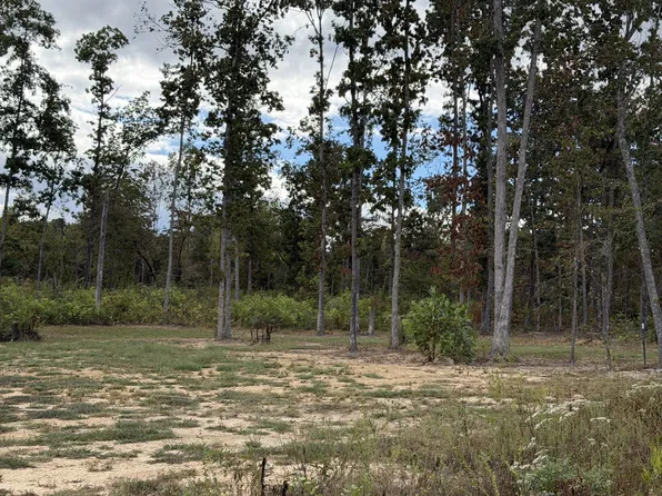 0 Brinkley Rd Lot 6, Wartrace, TN 37183