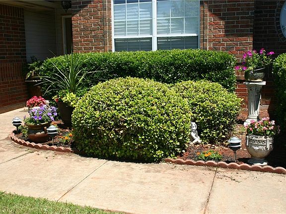 2nd image of 2905 Tropicana Ave