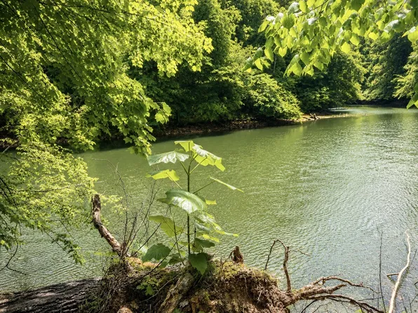 0 Elklore Ave Lot 8, Estill Springs, TN 37330