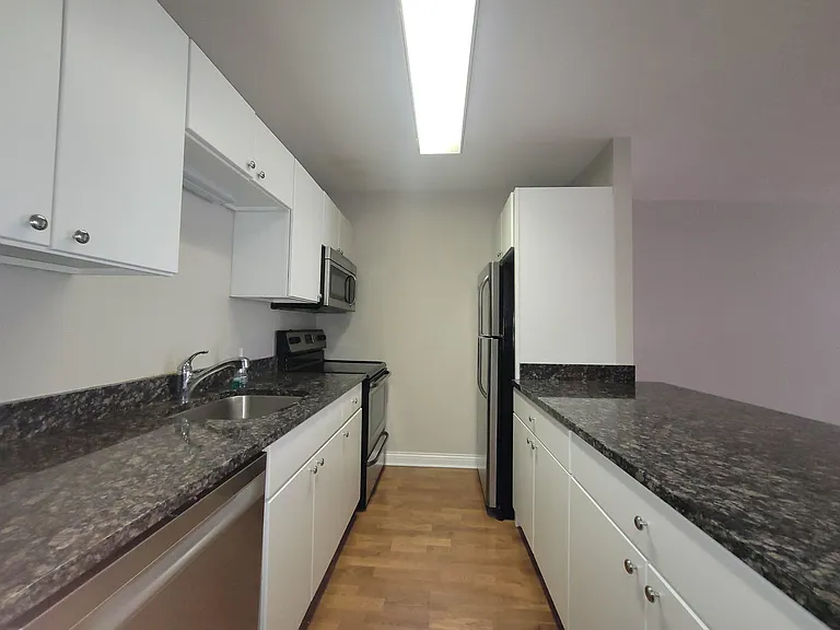 535 N Michigan Ave #1505 — Photo 3