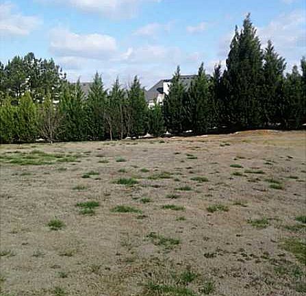4th image of 1110 Rowanshyre Cir