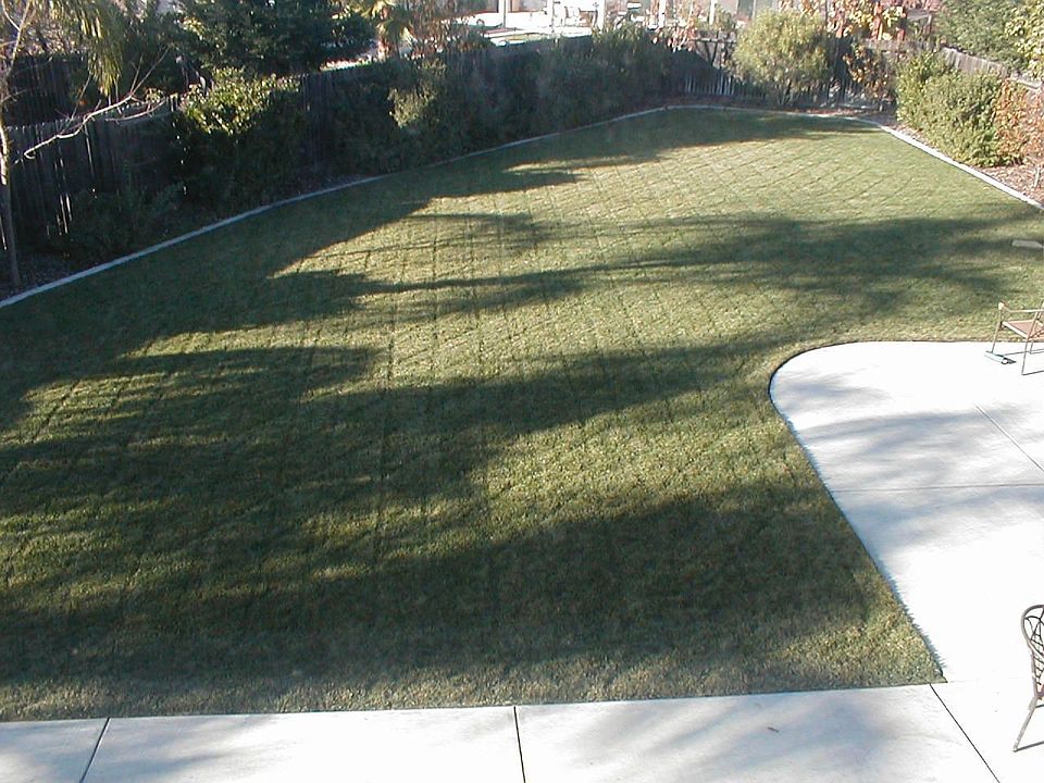 Family friendly HUGE backyard