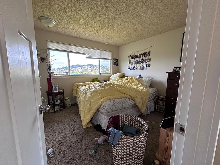 213 Bayside Rd — Photo 40