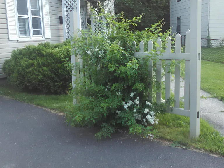 273 Pearl Harbor St — Photo 16