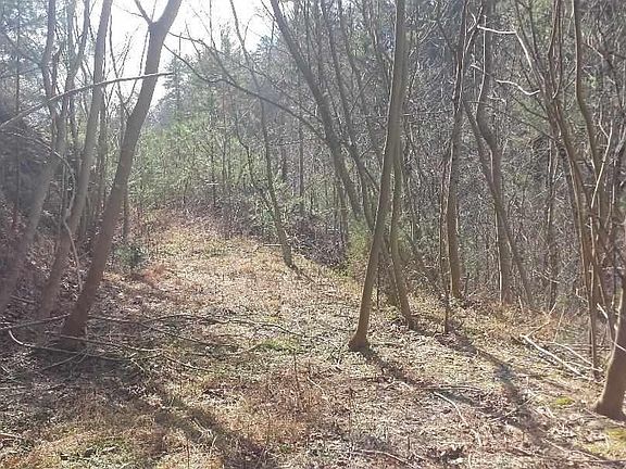 4th image of 601 Cameron Rd Lot 0