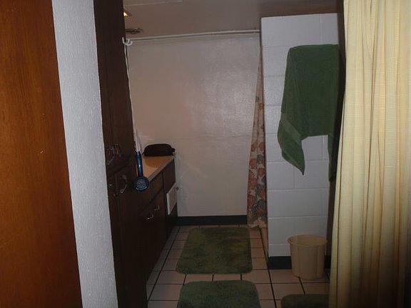 basement bath shower