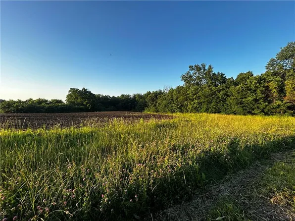 252 SW 601st Rd, Centerview, MO 64019
