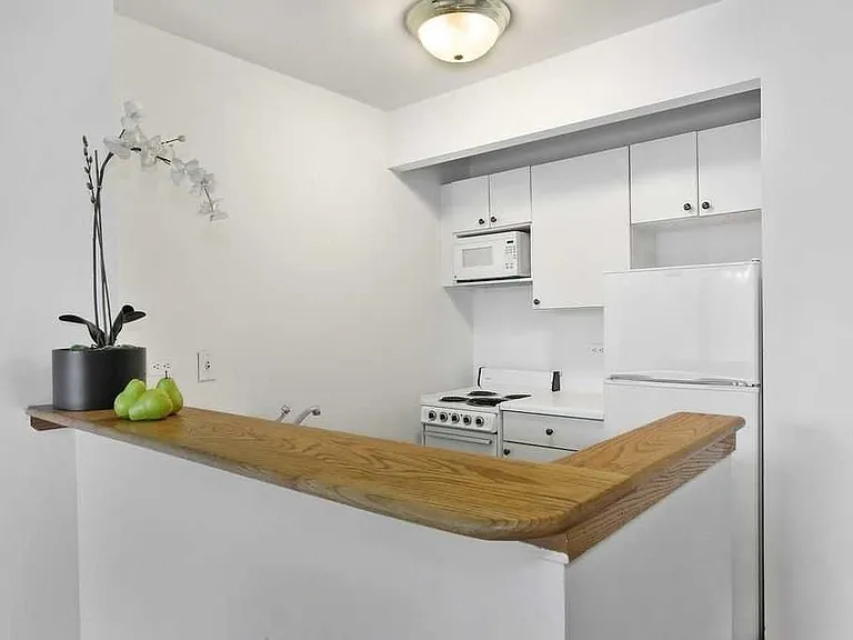 344 3rd Ave #16E — Photo 3