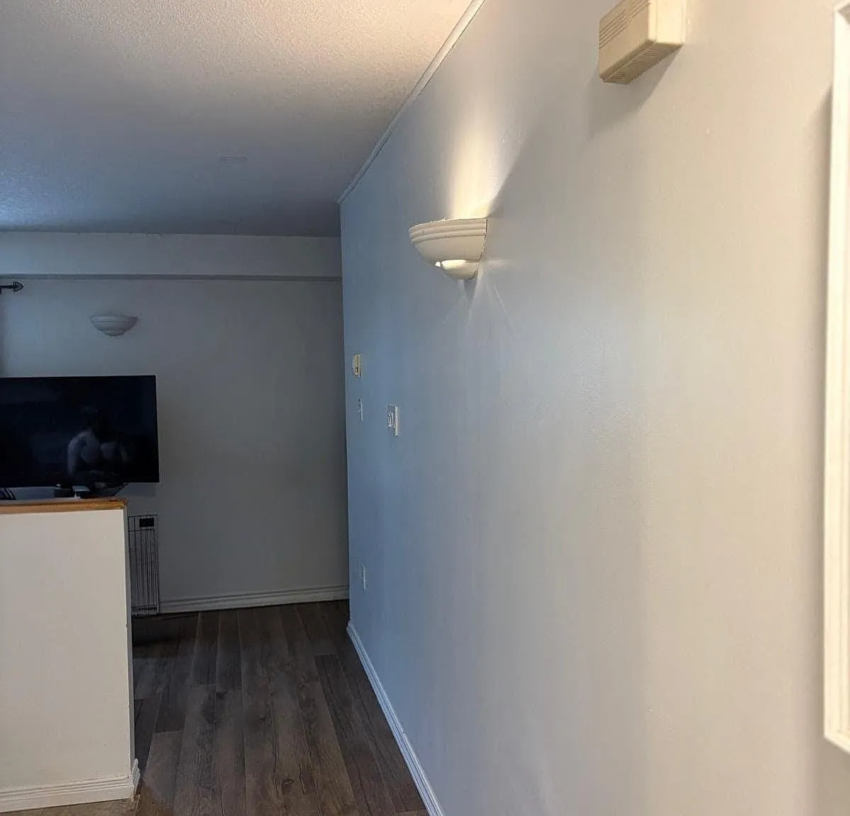 1 bed, $1,590 — Photo 3