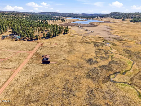 34 County Road 2100, Alpine, AZ 85920