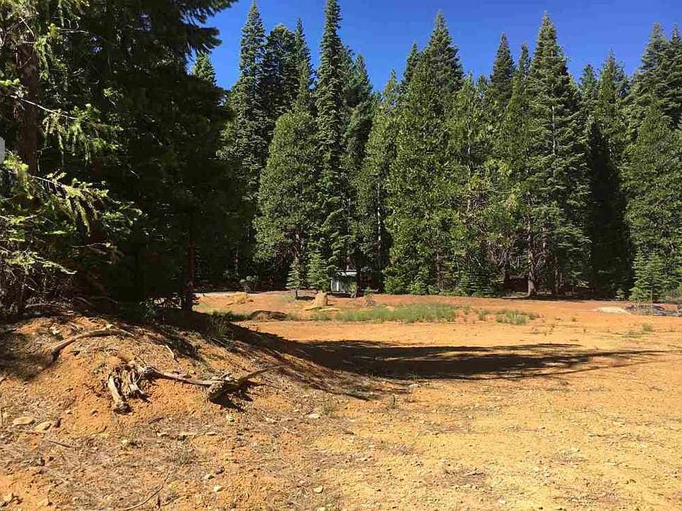 2nd image of 1889 Lodgepole Trl