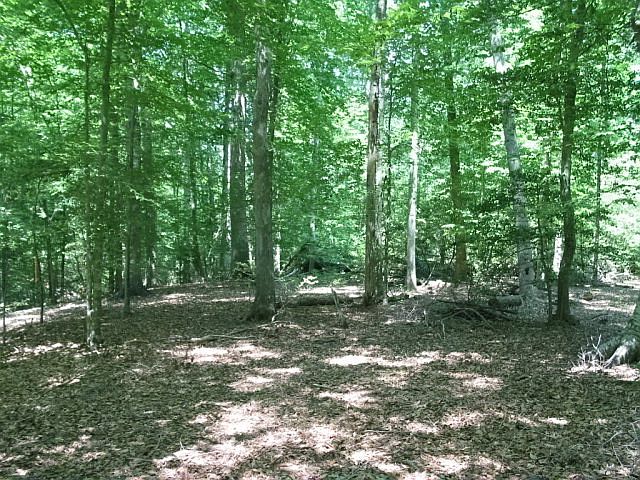 2nd image of 53 Haypit Ln
