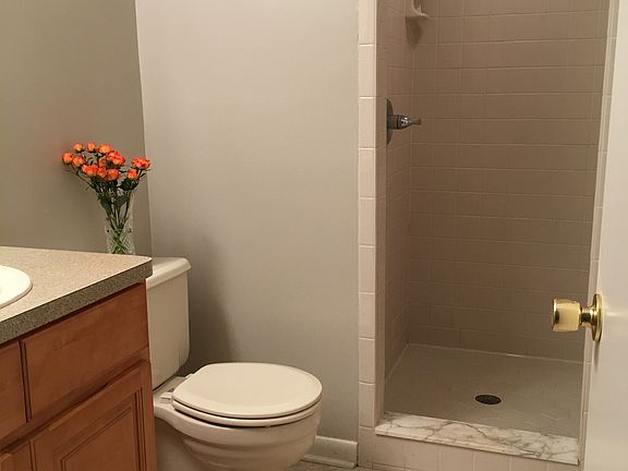 Hall Bath Shower view