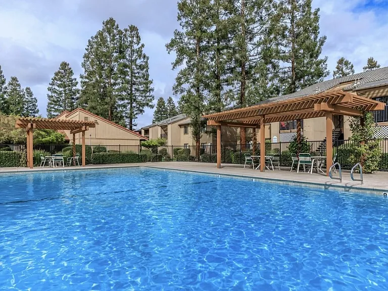 Pine Tree Village — Photo 10