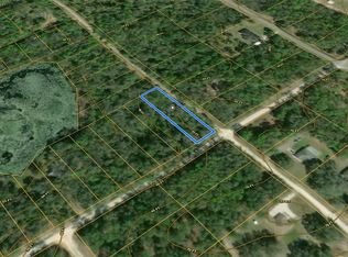 Smallman St #8, Webster, FL 33597
