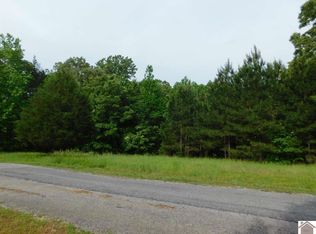 LOT 45 Bayridge Rd, New Concord, KY 42076