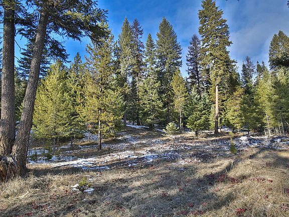 3rd image of Nhn Graves Creek Loop
